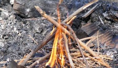 How To Burn Garden Waste Without Smoke