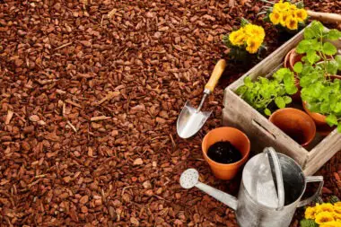 What is mulching in gardening?