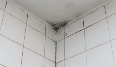 How To Get Rid Of Mould In Bathroom Ceiling?