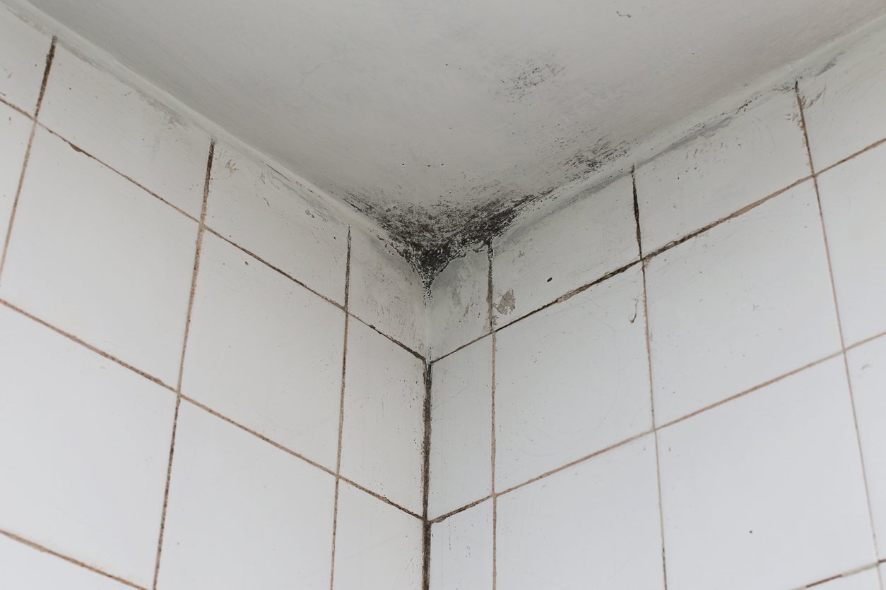 How To Get Rid Of Mould In Bathroom Ceiling?