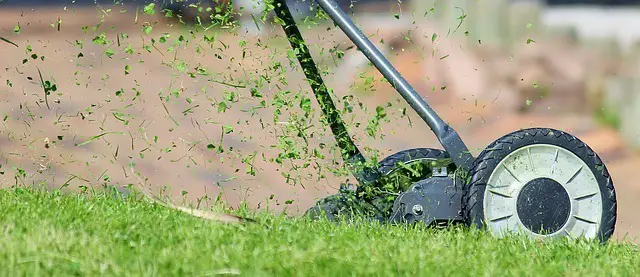 Mowing Your Lawn and Pruning Vegetation