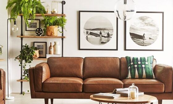 What Colour Goes With A Brown Leather Sofa