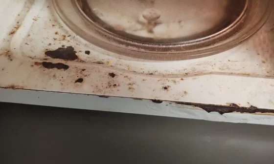 Is It Bad If Your Microwave Has Rust Inside
