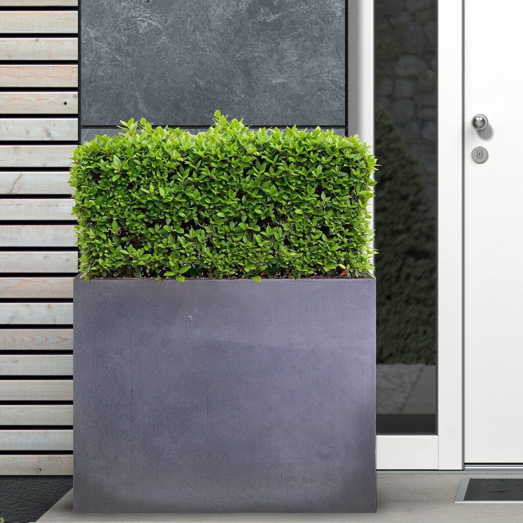 extra large plant pots outdoor uk