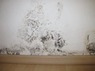 how to treat damp walls internally