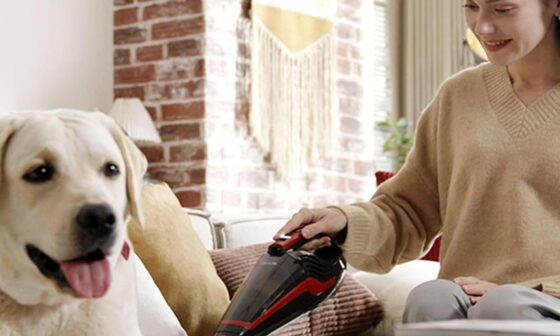 Best Handheld Vacuum Cleaners For Pet Hair