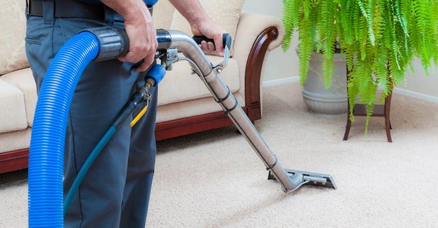 carpet cleaning professional