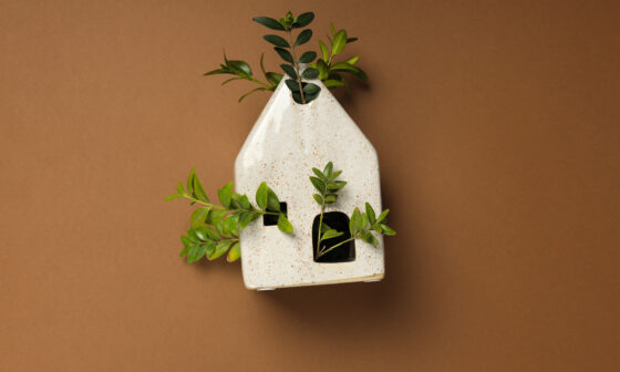 Eco-friendly home concept with green plants growing inside a ceramic house model on brown background